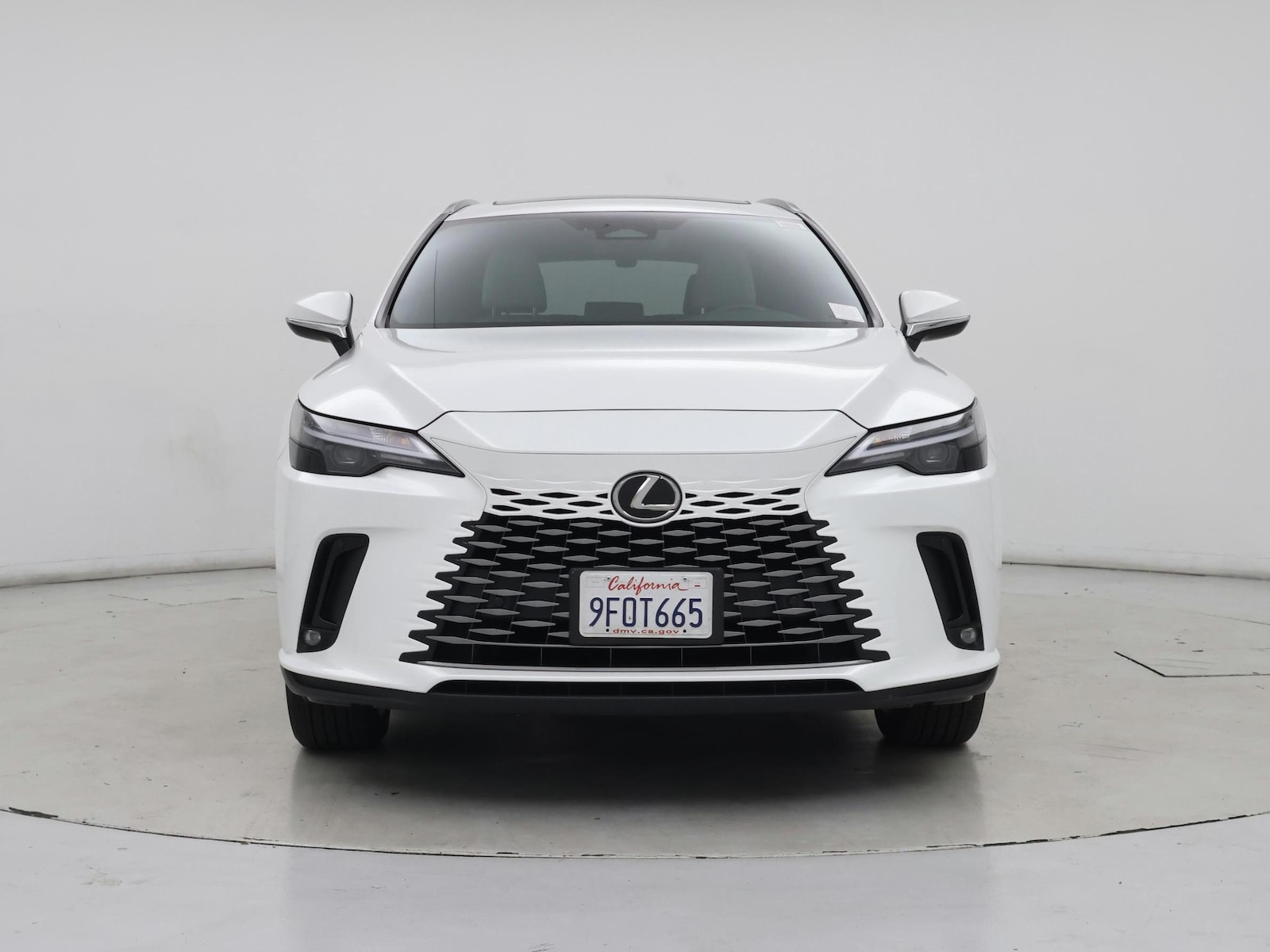 2023 Lexus RX 350 - Photo 6
