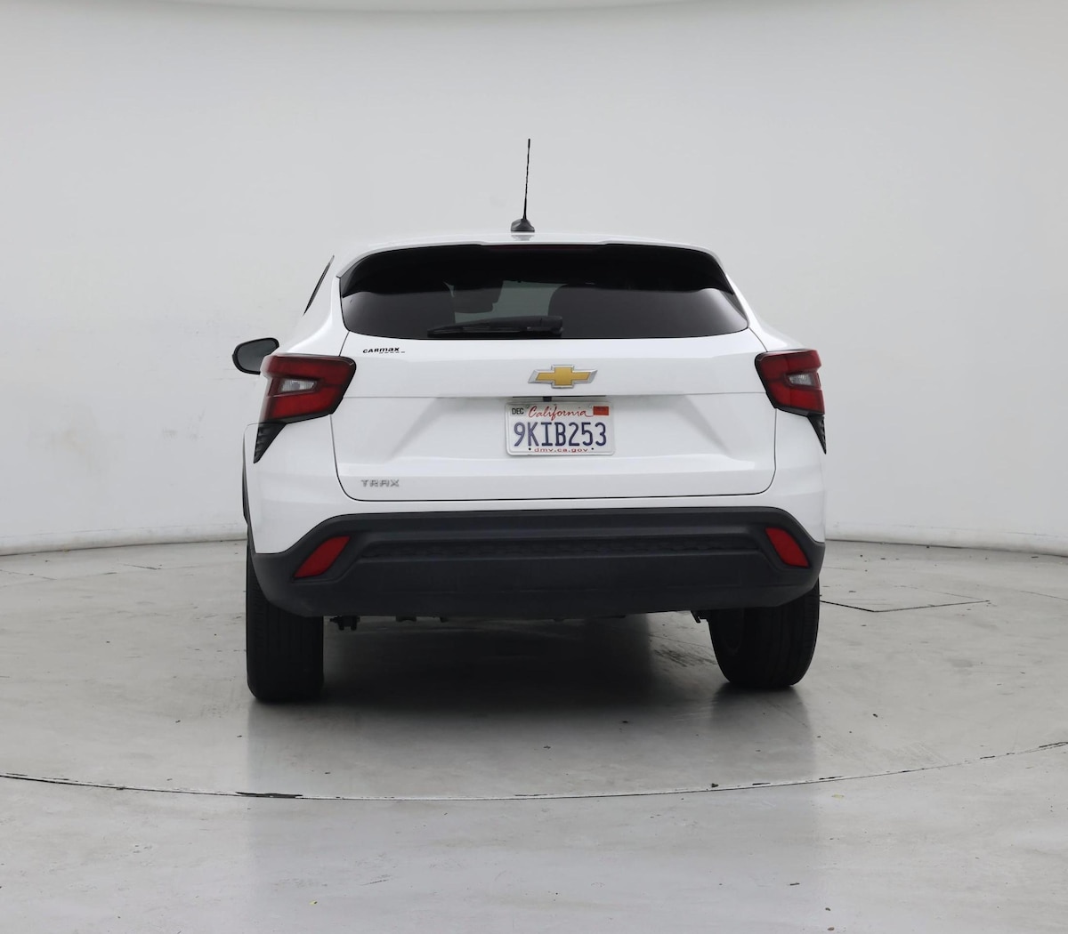 Rear