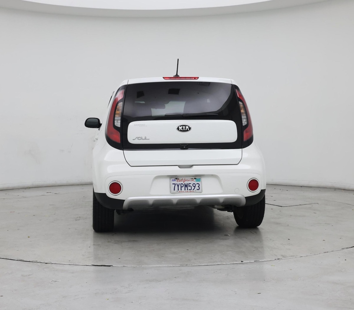 Rear