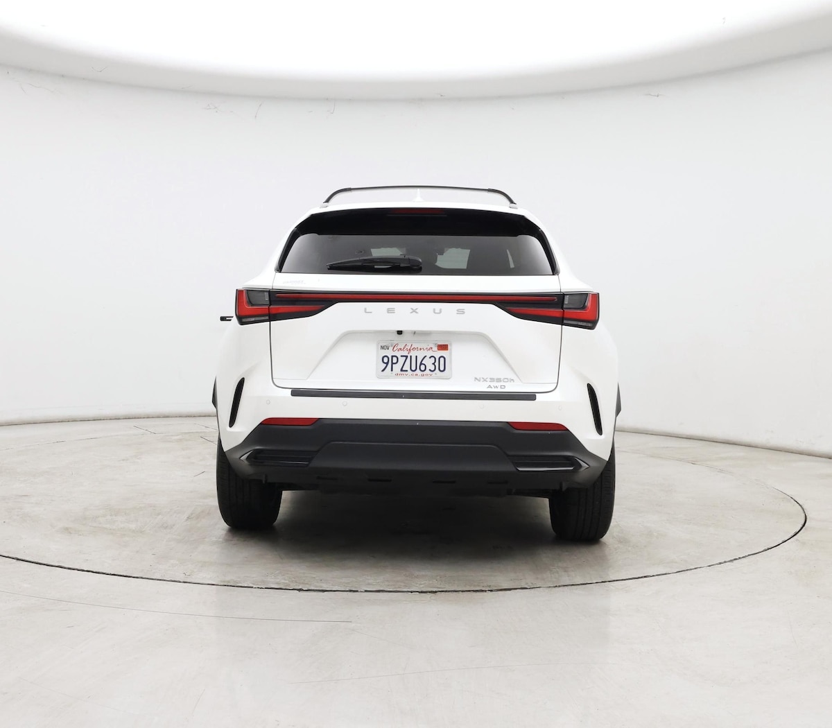 Rear