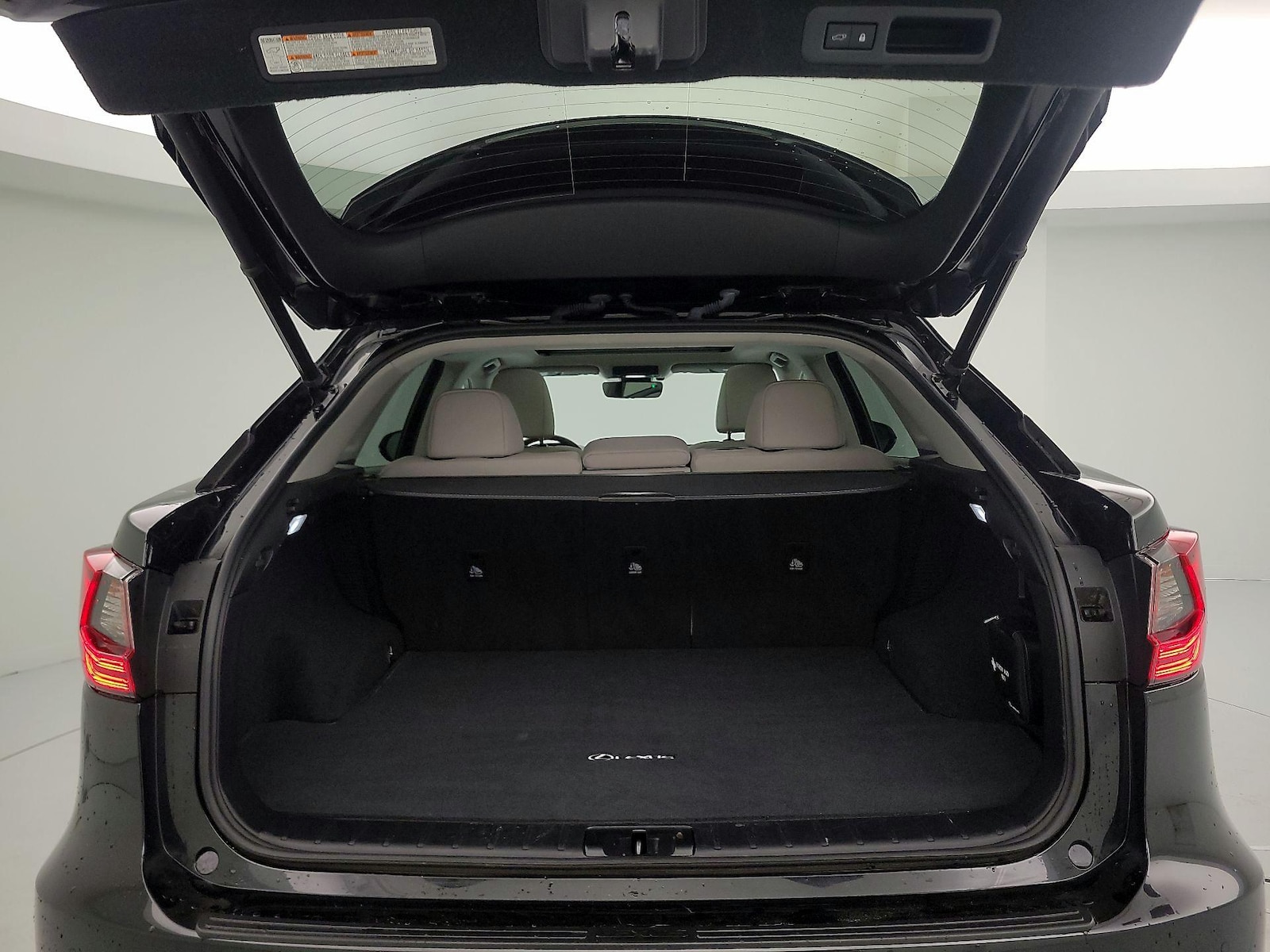 2021 Lexus RX Hybrid 450h - Photo 22