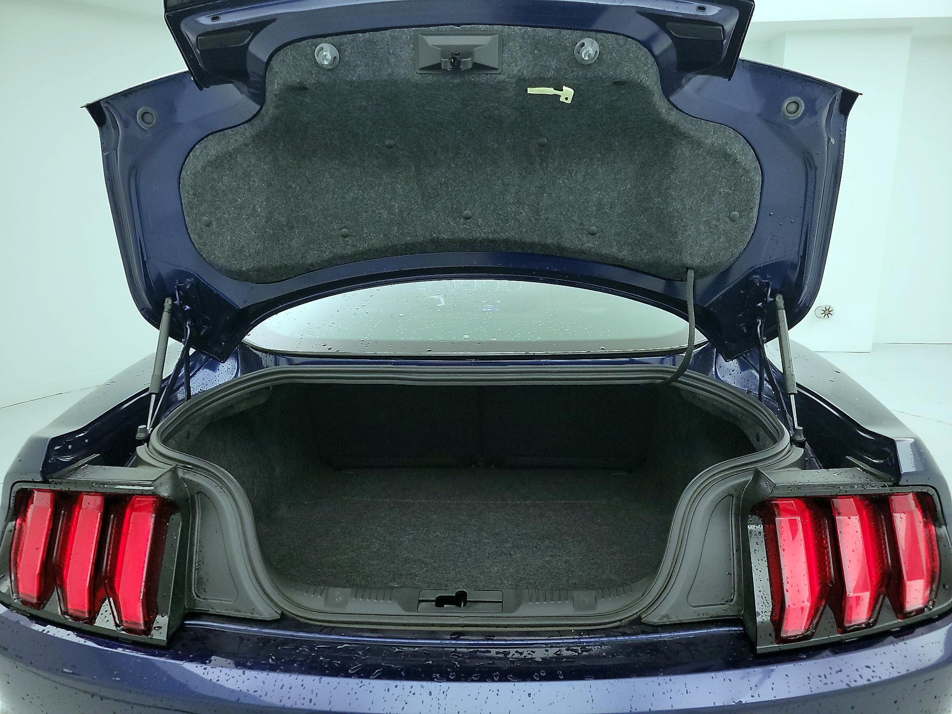 Thumbnail: 2018 Ford Mustang - 20