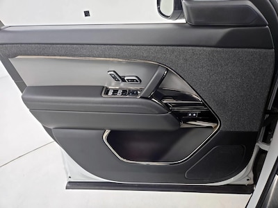 Driver Door Panel