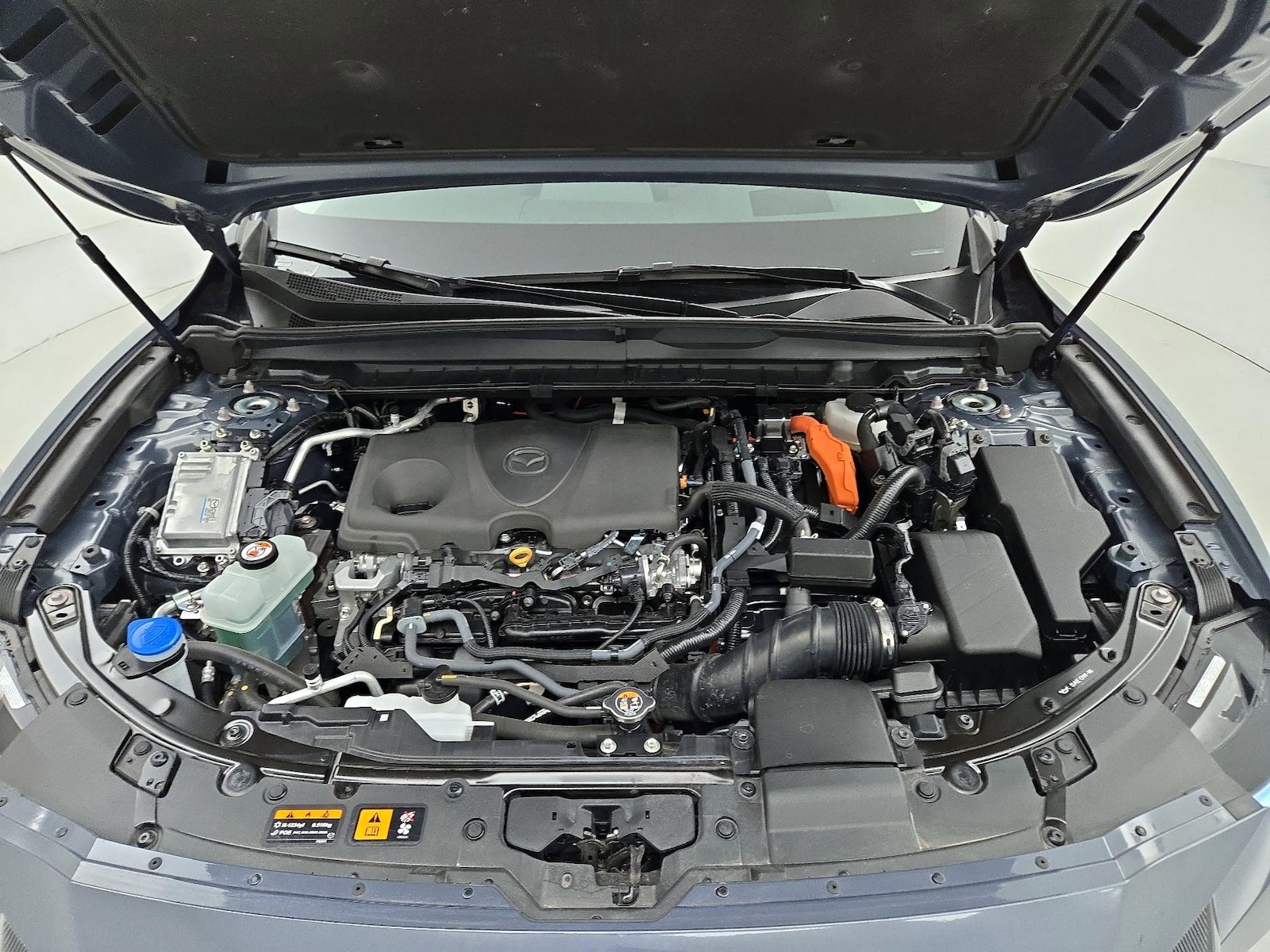 2025 Mazda CX-50 Premium Plus - Photo 24