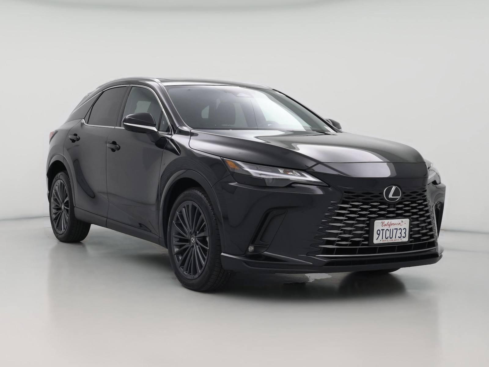 2025 Lexus RX