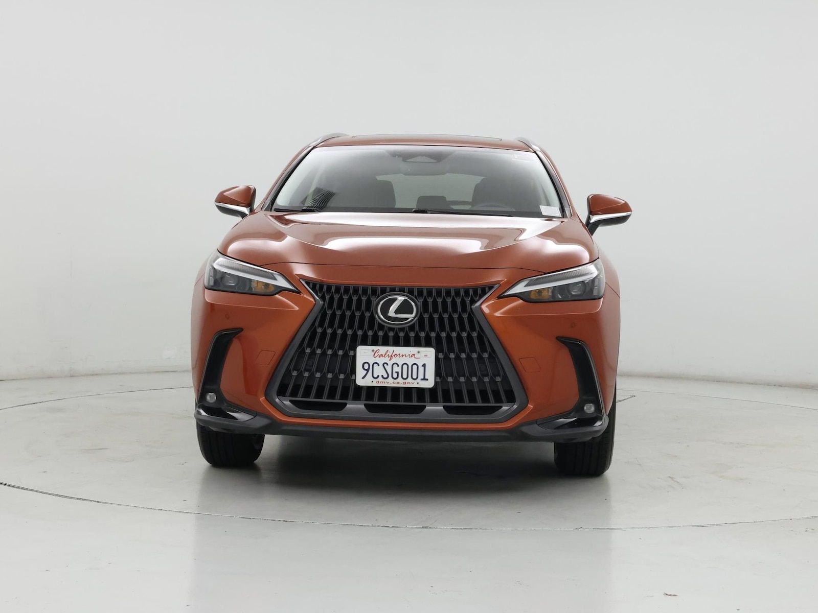 2022 Lexus NX 250 - Photo 6