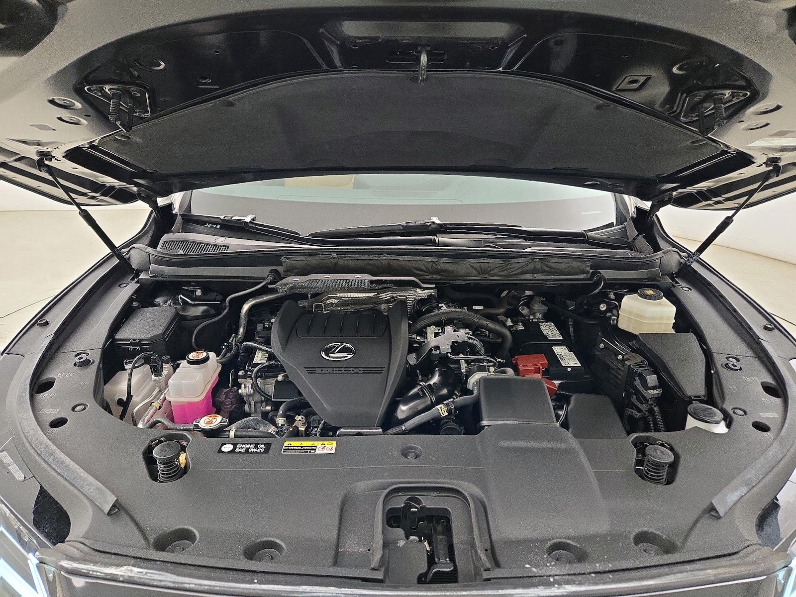Photo 23