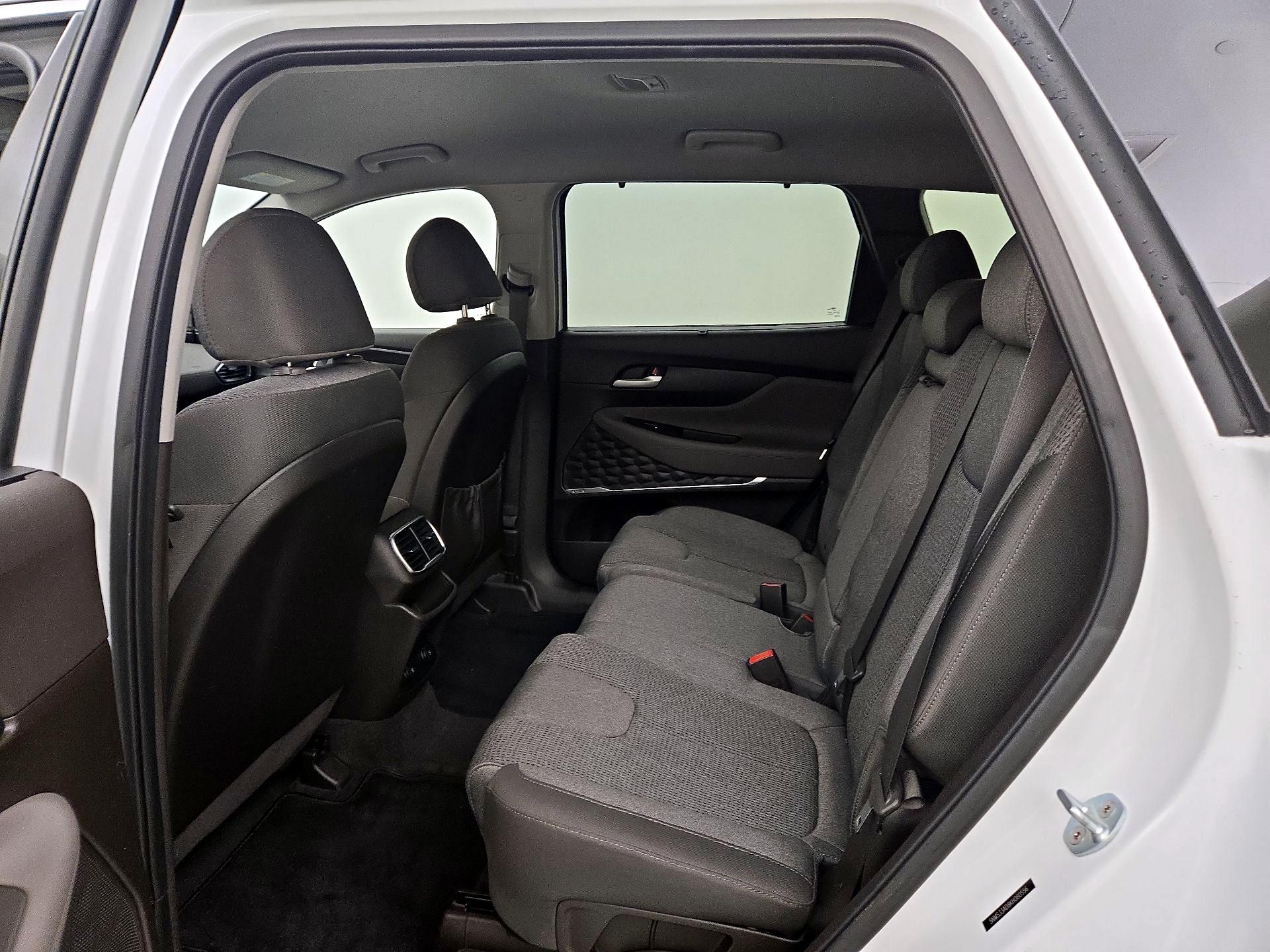 Thumbnail: 2019 Hyundai Santa Fe - 19