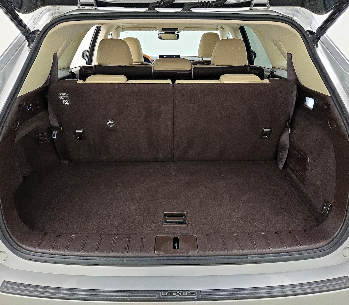 Trunk/Cargo (Seats Up)