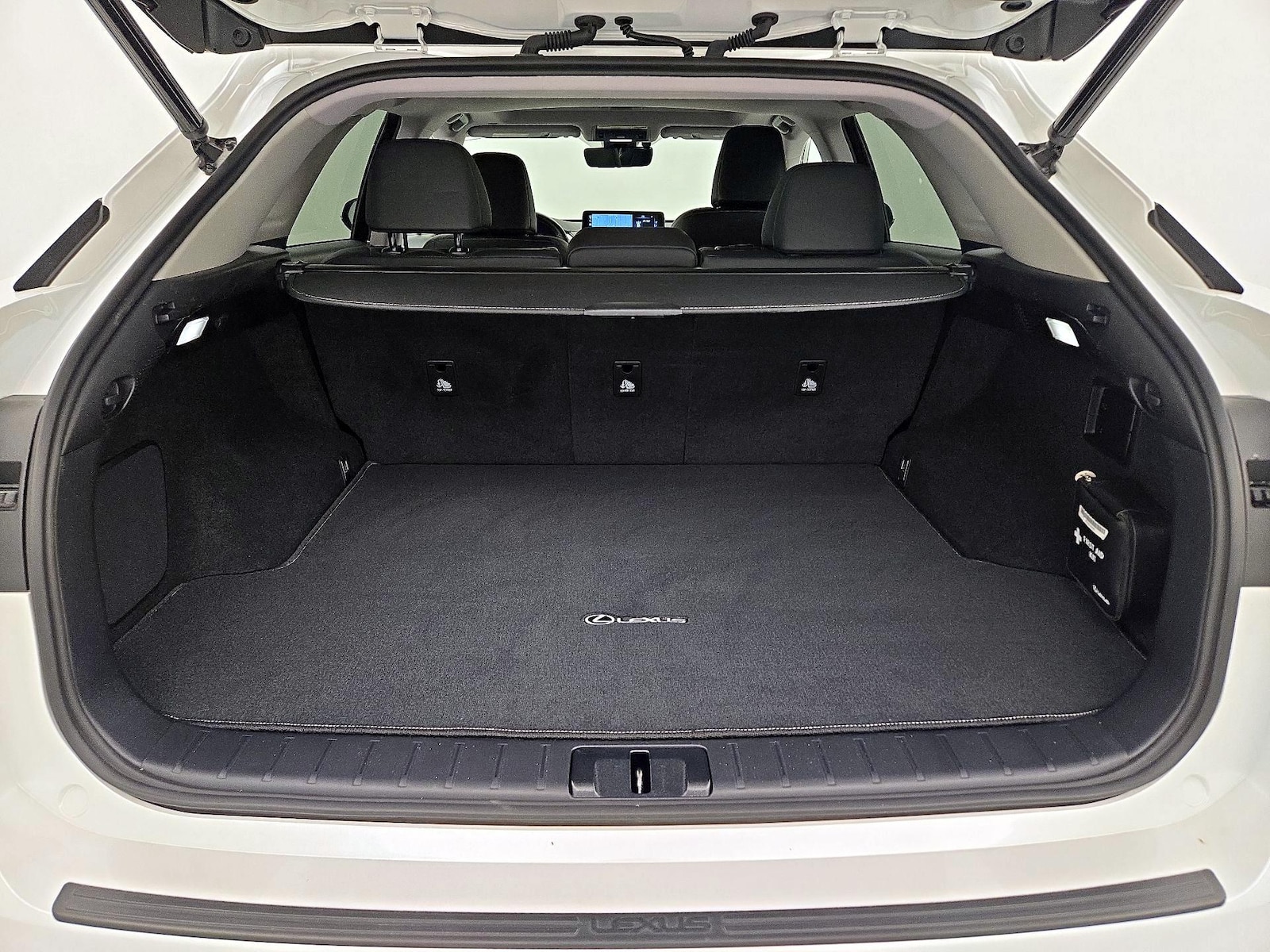 2021 Lexus RX 350 - Photo 23