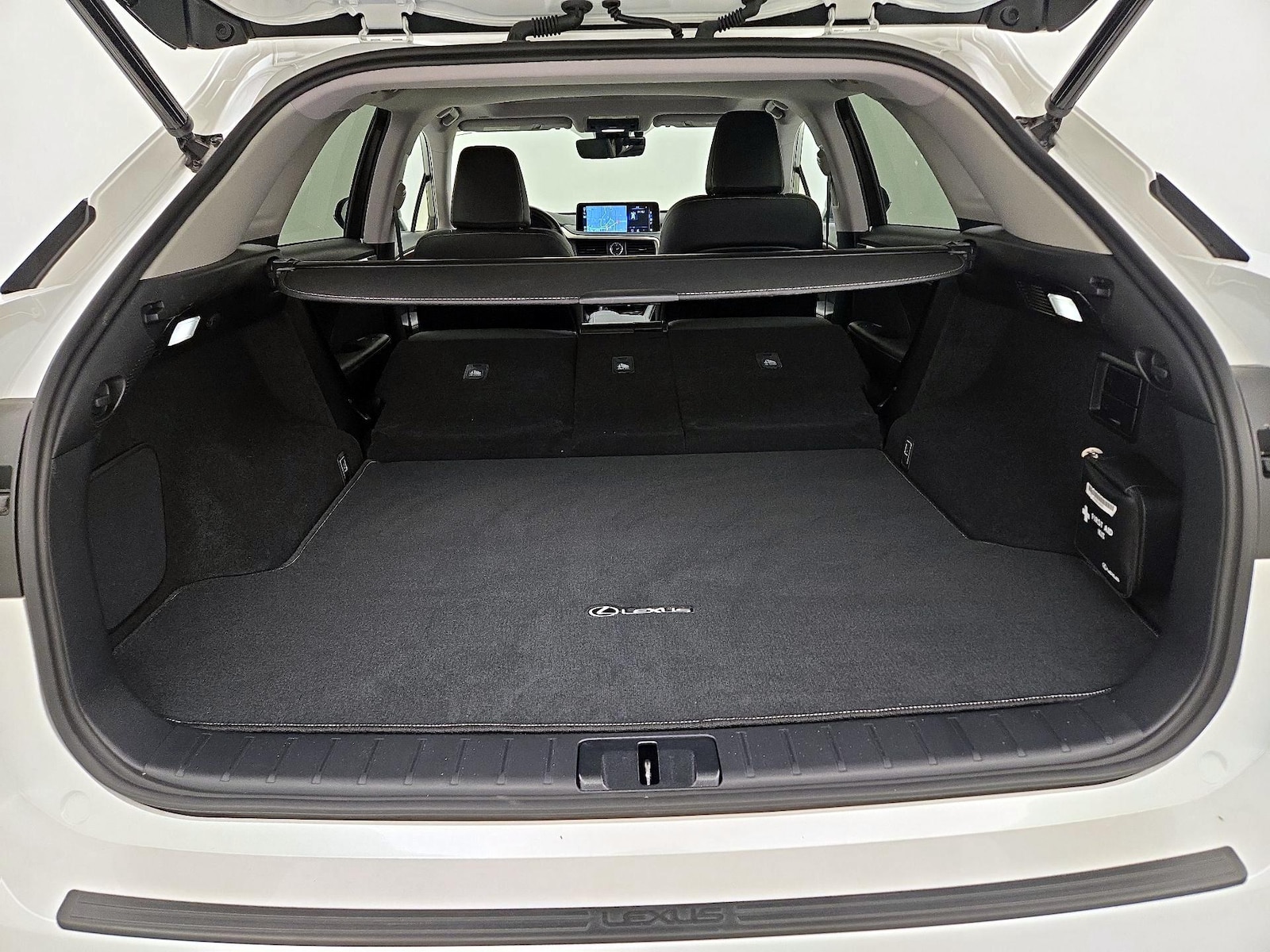 2021 Lexus RX 350 - Photo 24