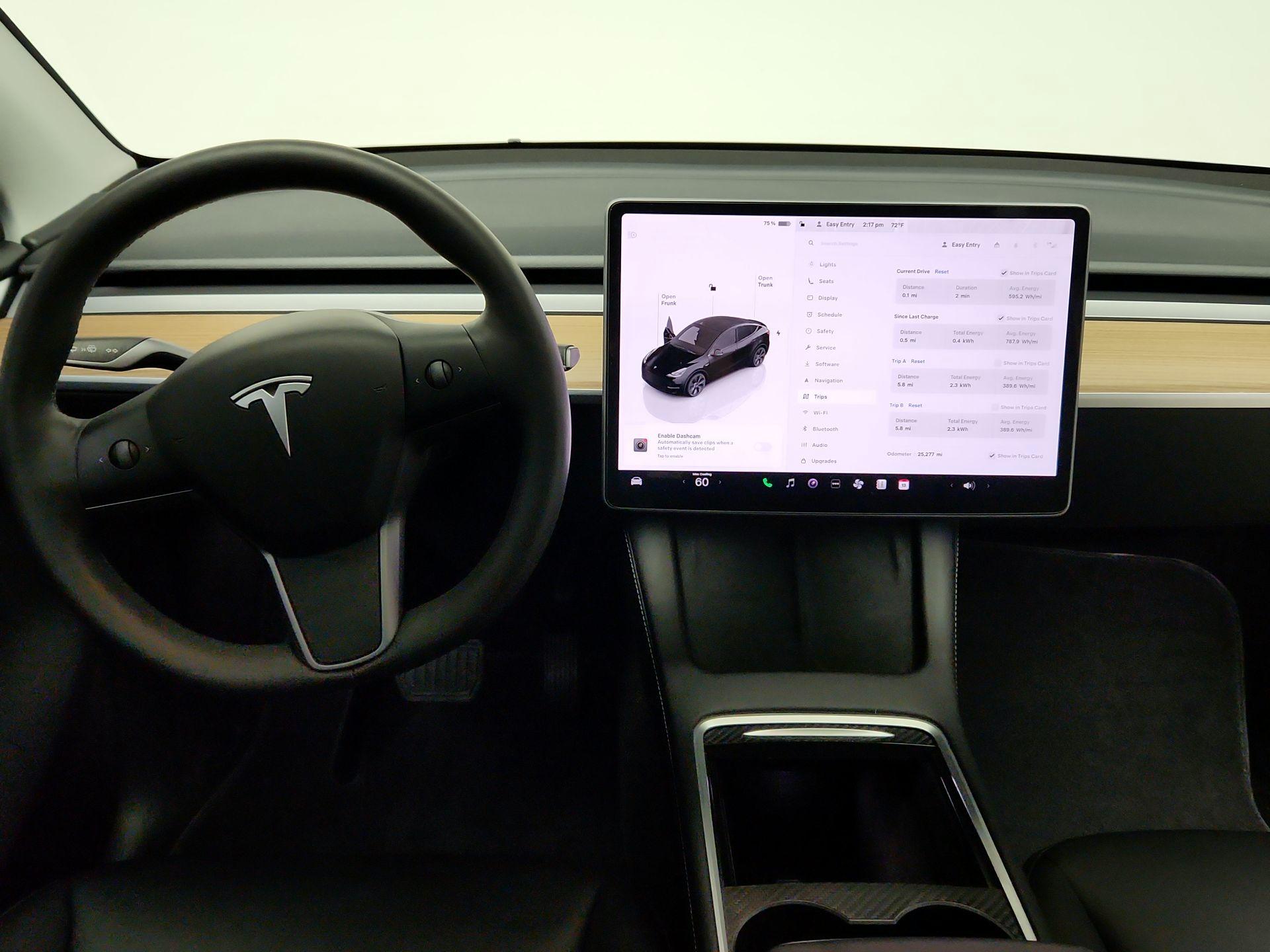 Thumbnail: 2025 Tesla Model Y - 10