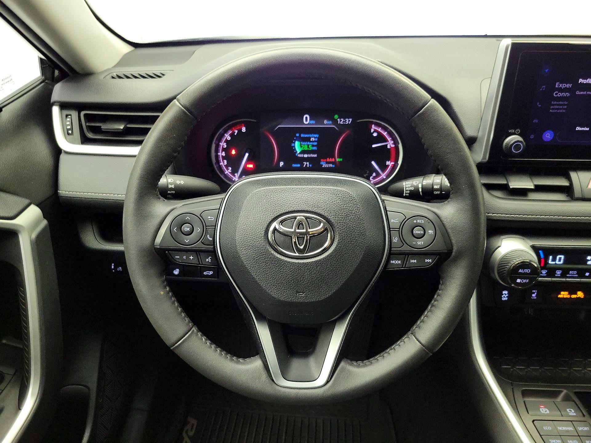 Thumbnail: 2023 Toyota RAV4 - 10