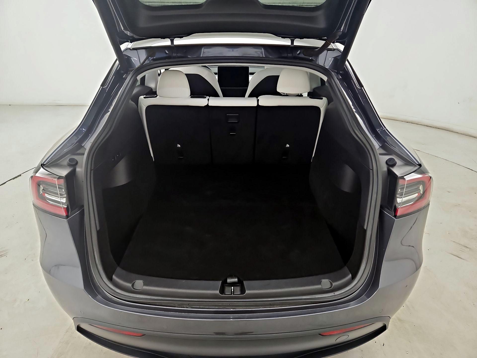 Thumbnail: 2021 Tesla Model Y - 20