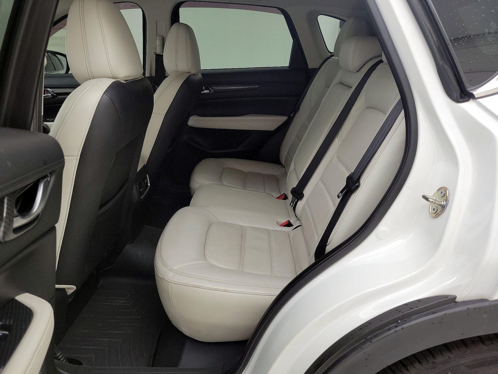 Rear Seat Heaters
