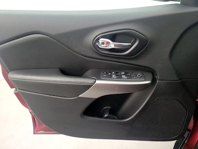 Driver Door Panel