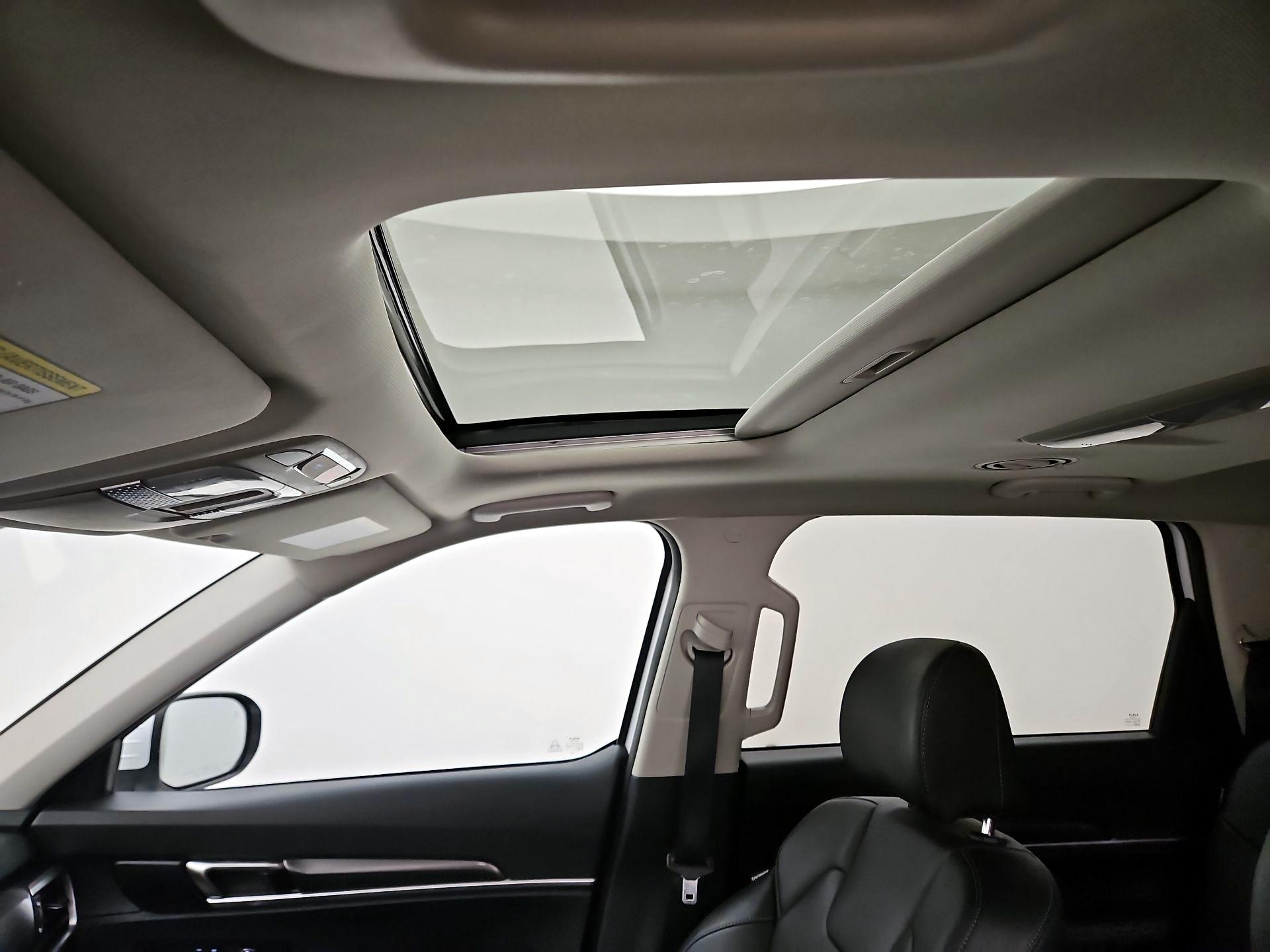 Thumbnail: 2024 Kia Telluride - 20