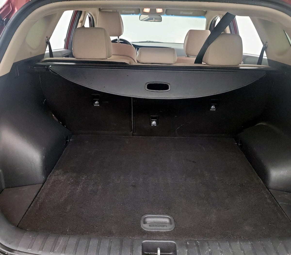 Trunk/Cargo (Seats Up)