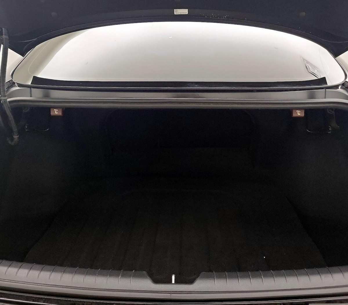 Trunk/Cargo (Seats Up)