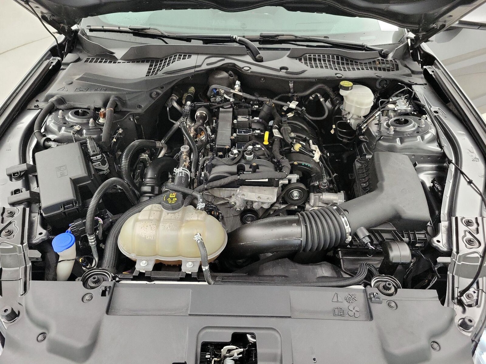 2022 Ford Mustang EcoBoost - Photo 22