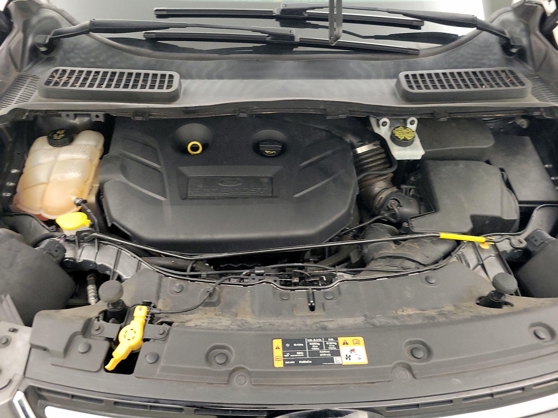 Thumbnail: 2016 Ford Escape - 19