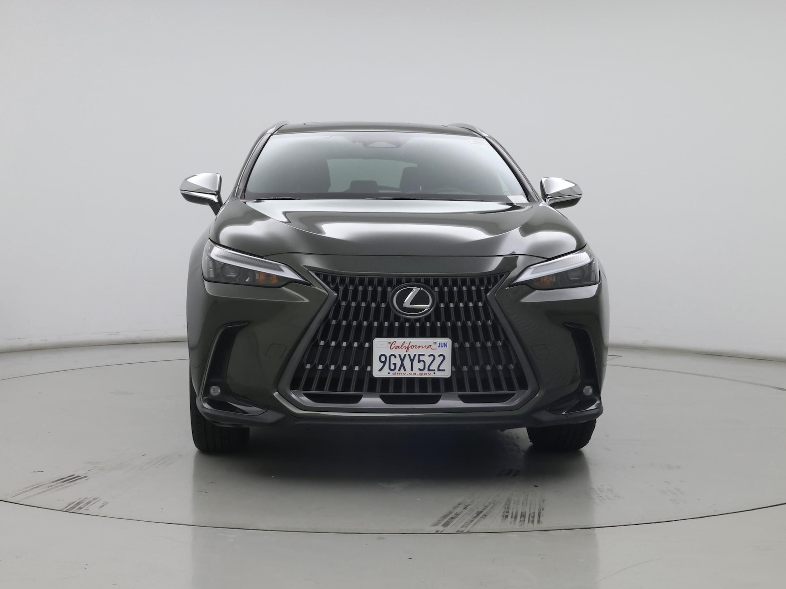 2024 Lexus NX 350 - Photo 6