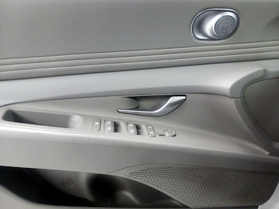Driver Door Panel