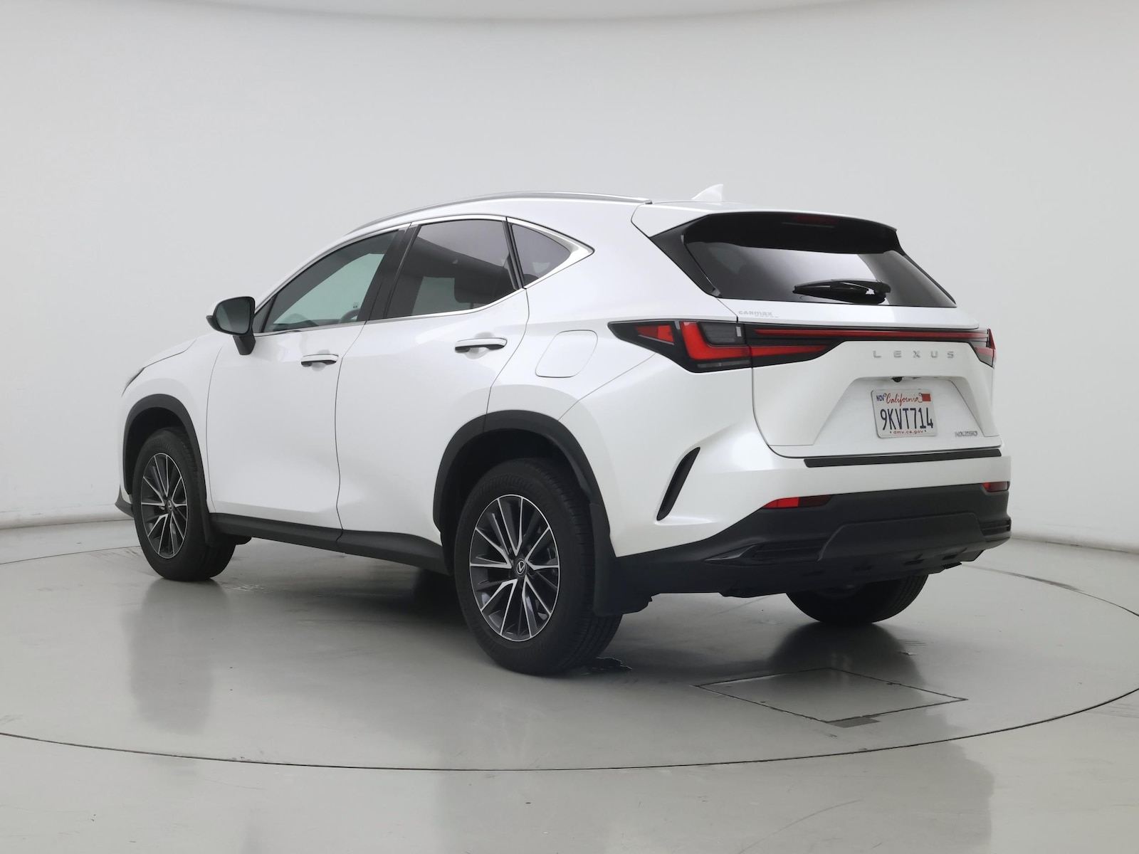 2024 Lexus NX 250 - Photo 3