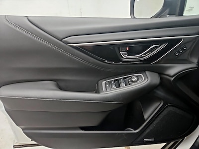 Driver Door Panel