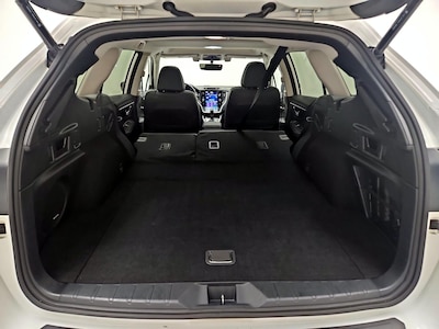 Trunk/Cargo (Seats Down)