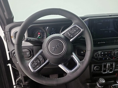 Steering Wheel & Instrument Cluster (On)