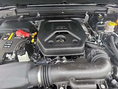 Trunk/Cargo (Seats Down)
