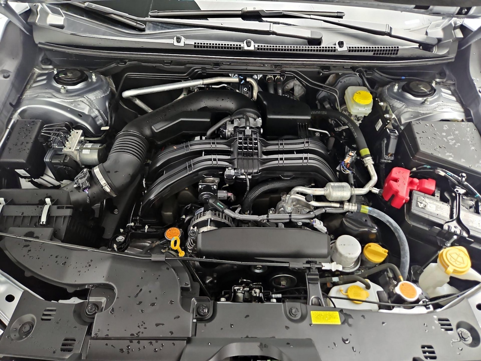 2025 Subaru Crosstrek Wilderness - Photo 23