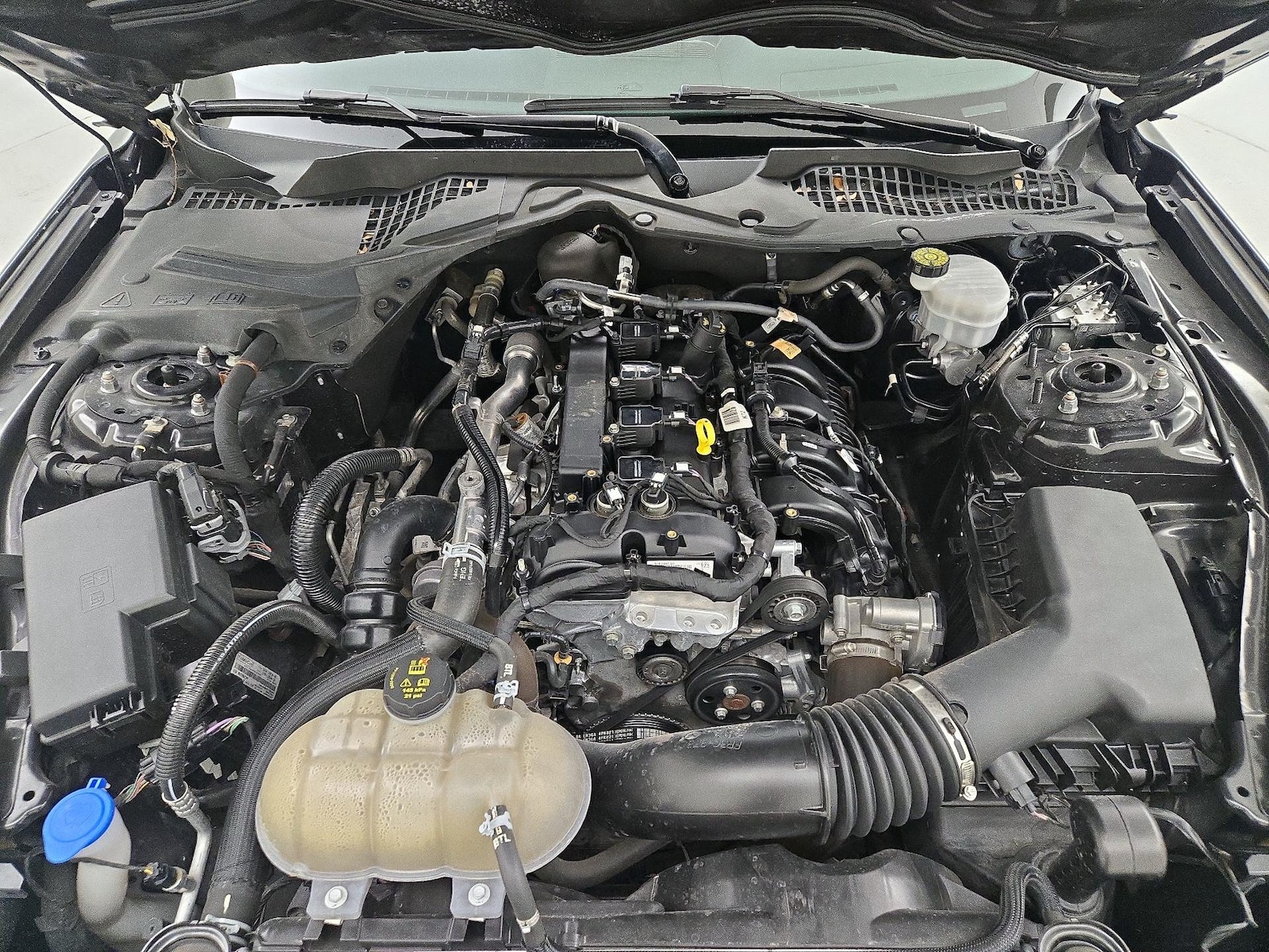 2023 Ford Mustang EcoBoost Premium - Photo 22