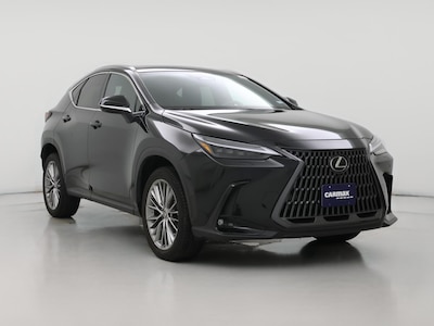 2023 Lexus NX 350 Premium