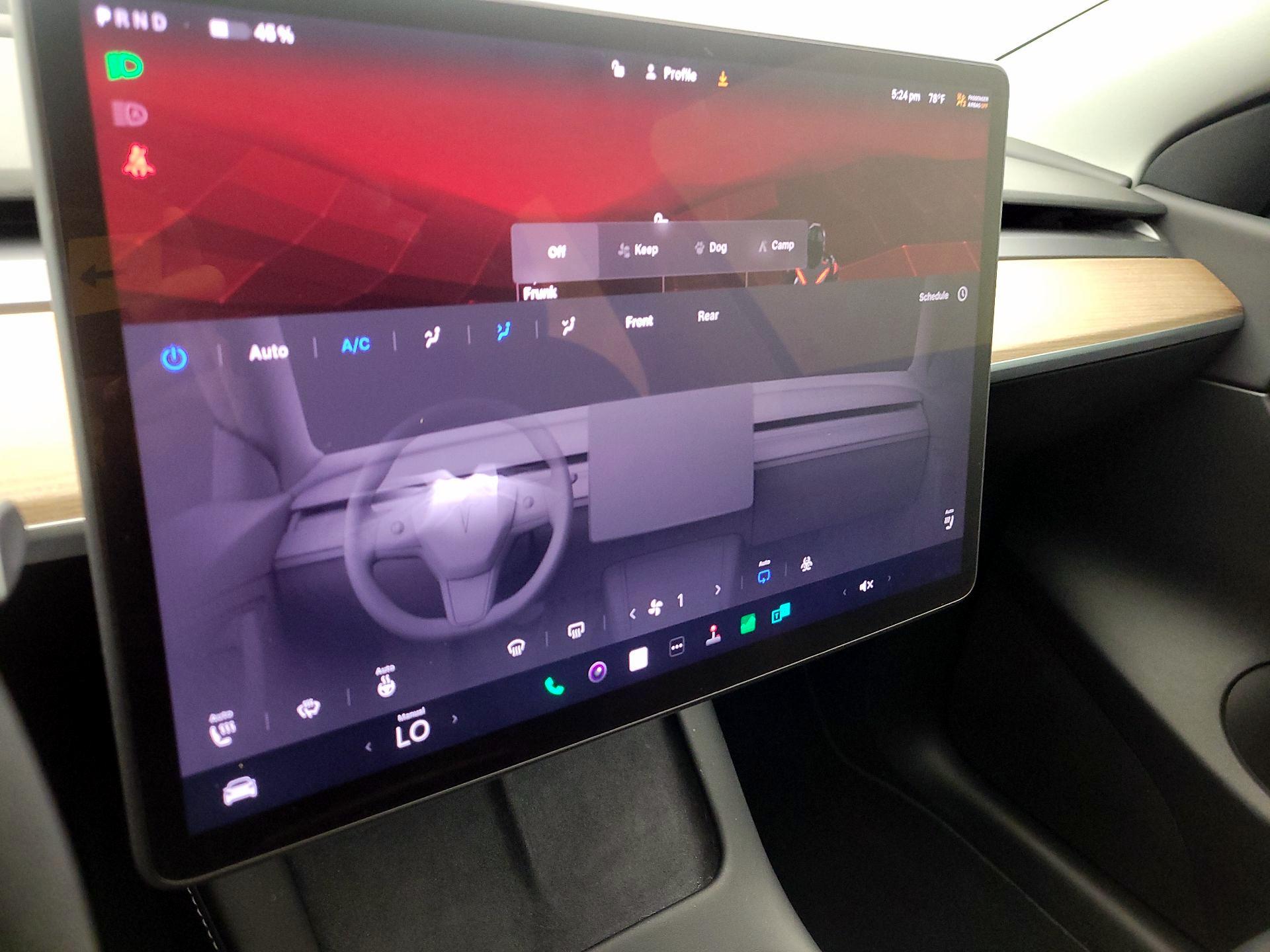 Thumbnail: 2022 Tesla Model Y - 16