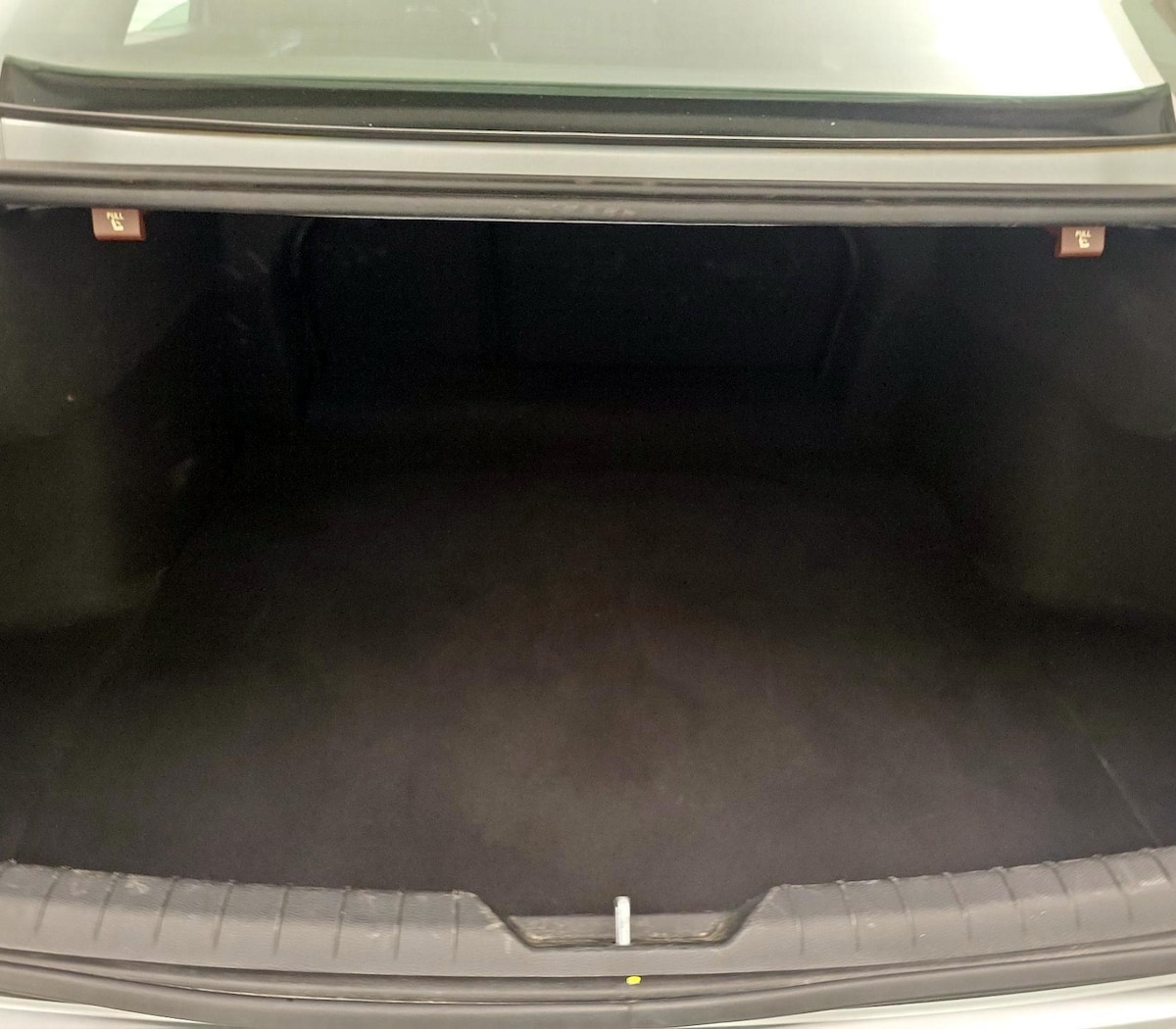 Trunk/Cargo (Seats Up)
