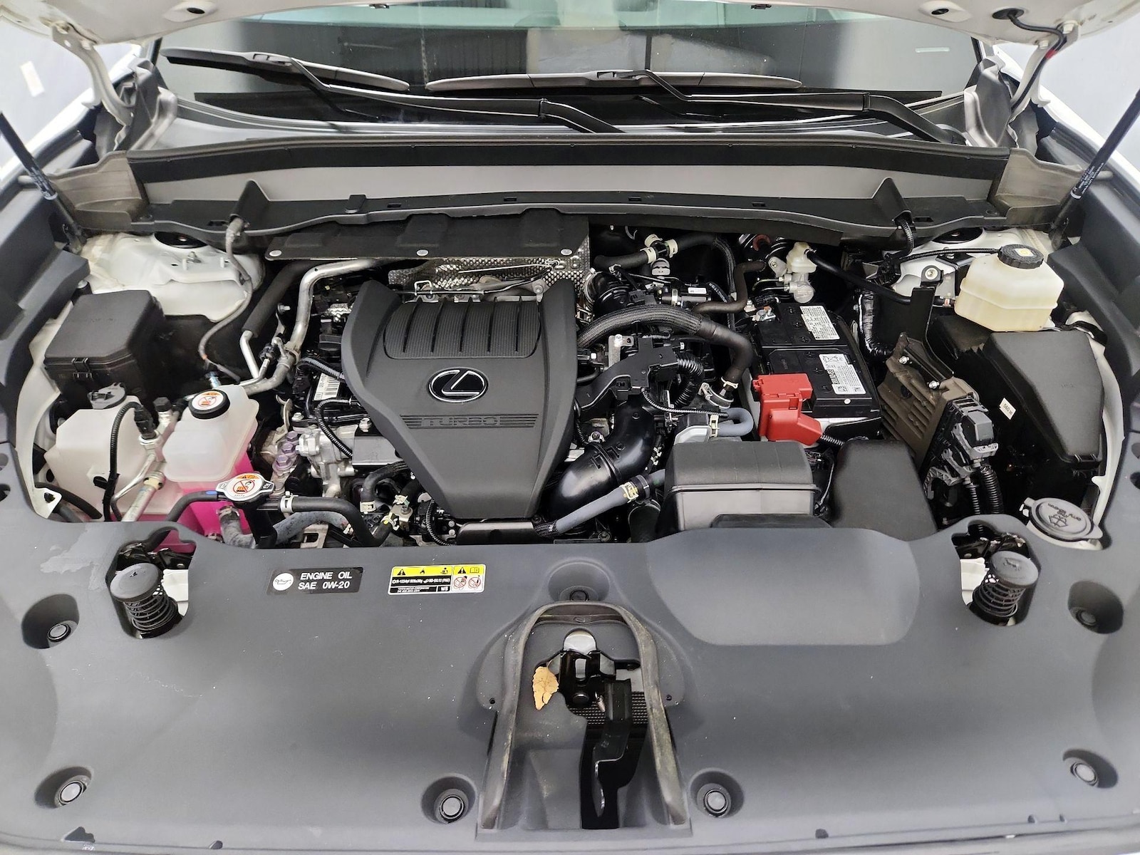 2024 Lexus TX 350 - Photo 23