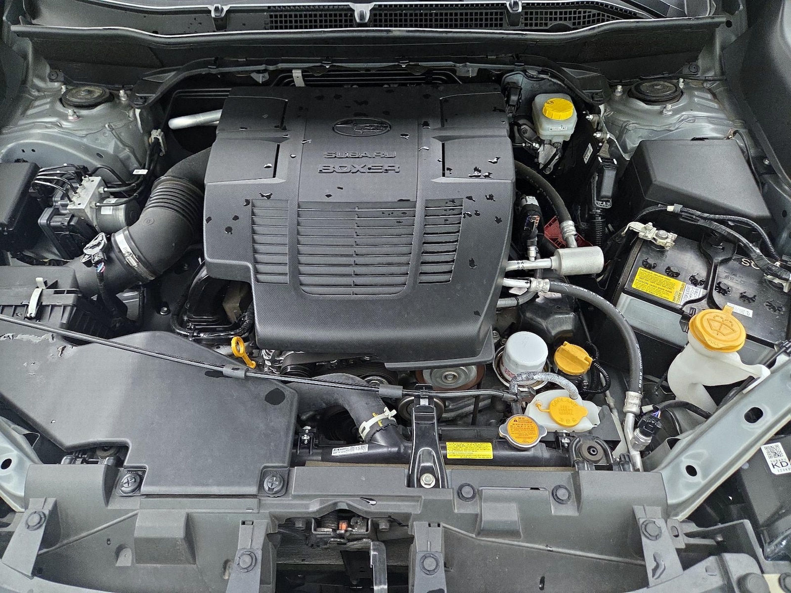 View 23