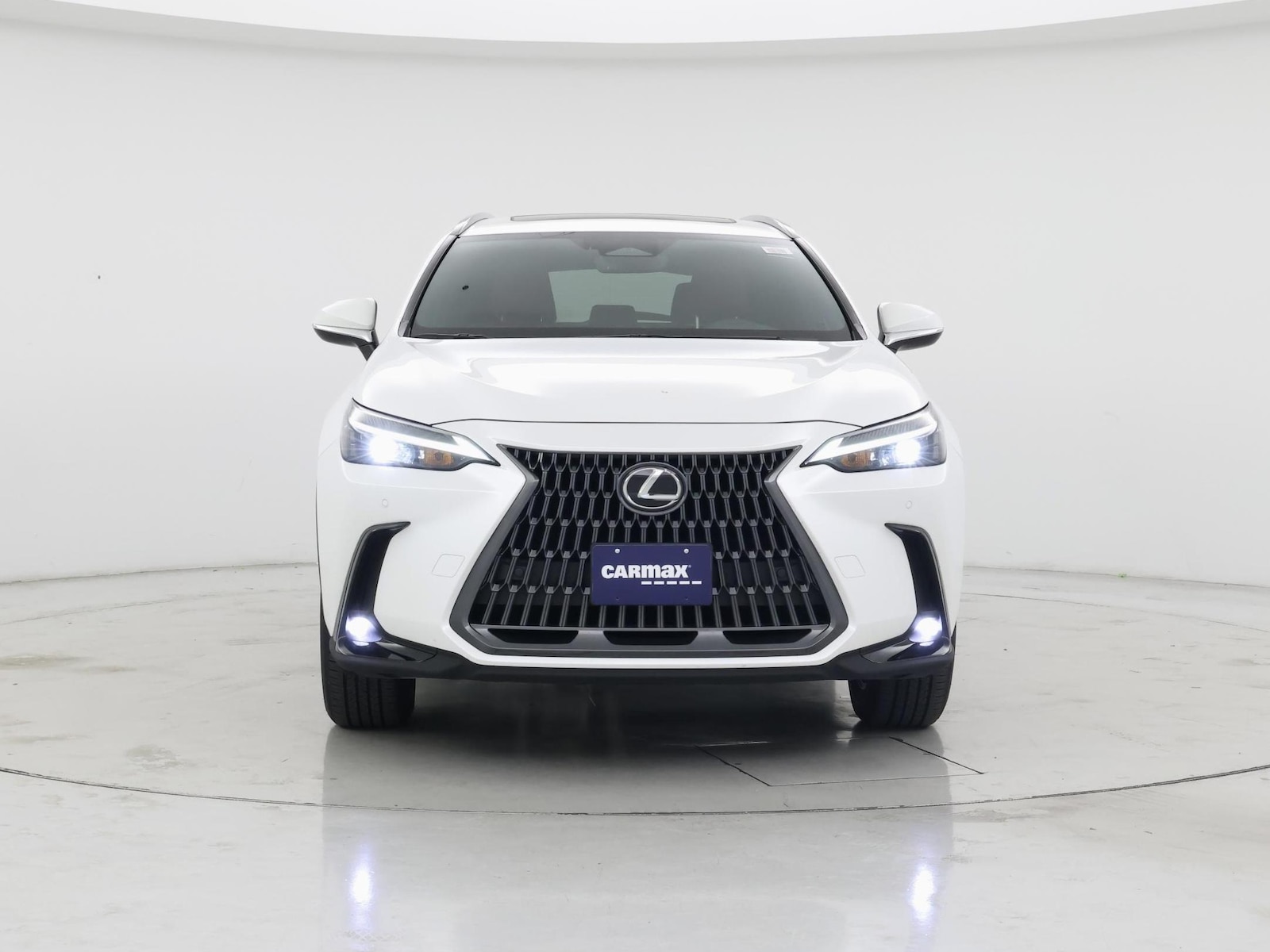 2025 Lexus NX 350 - Photo 6