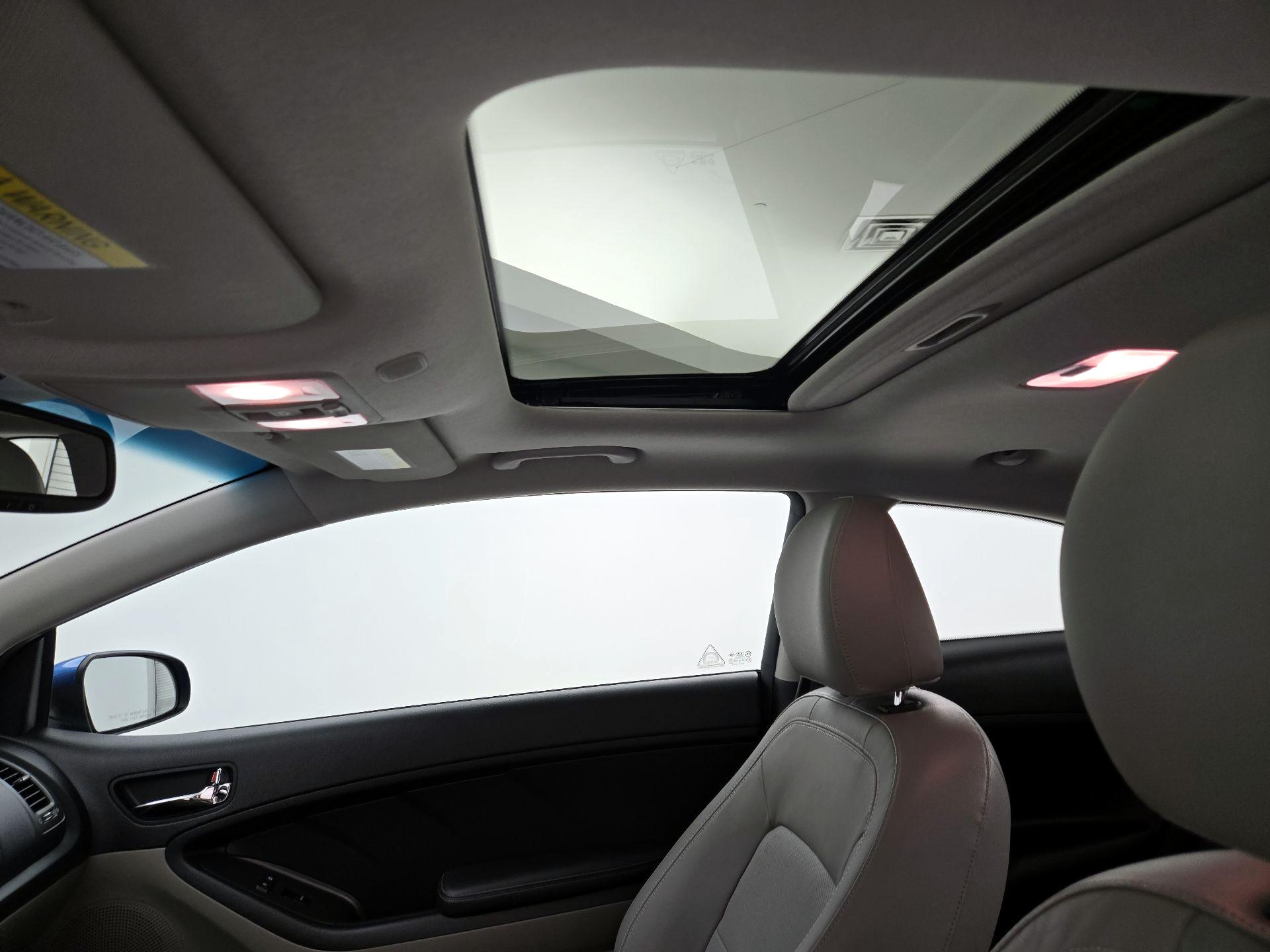 Thumbnail: 2014 Kia Forte - 19