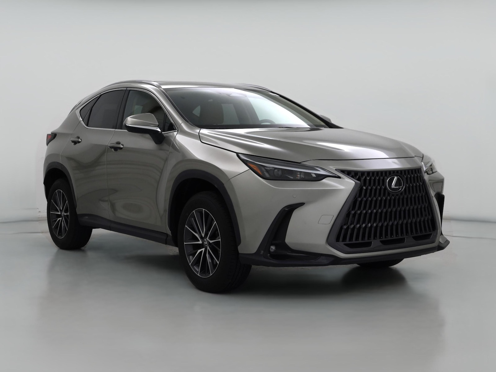 2024 Lexus NX