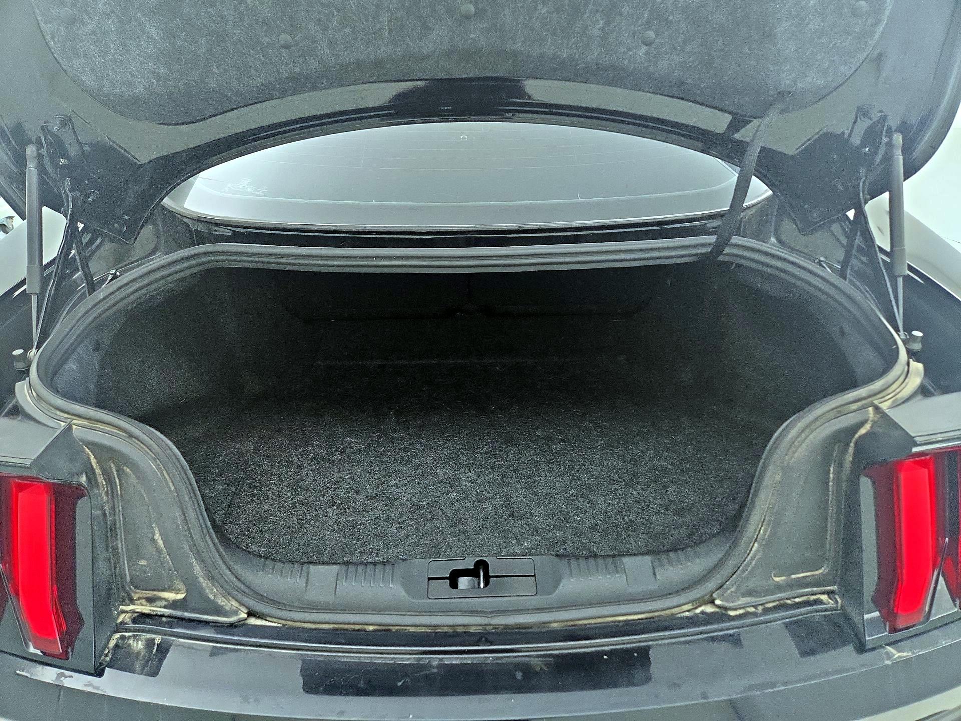 Thumbnail: 2019 Ford Mustang - 19