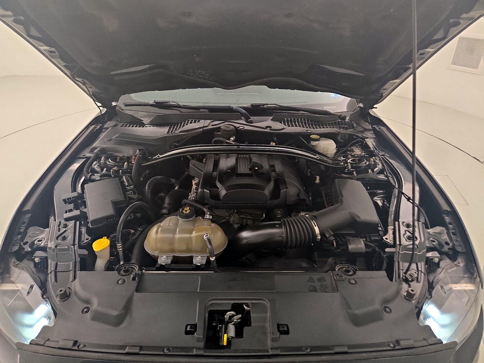 Thumbnail: 2019 Ford Mustang - 20