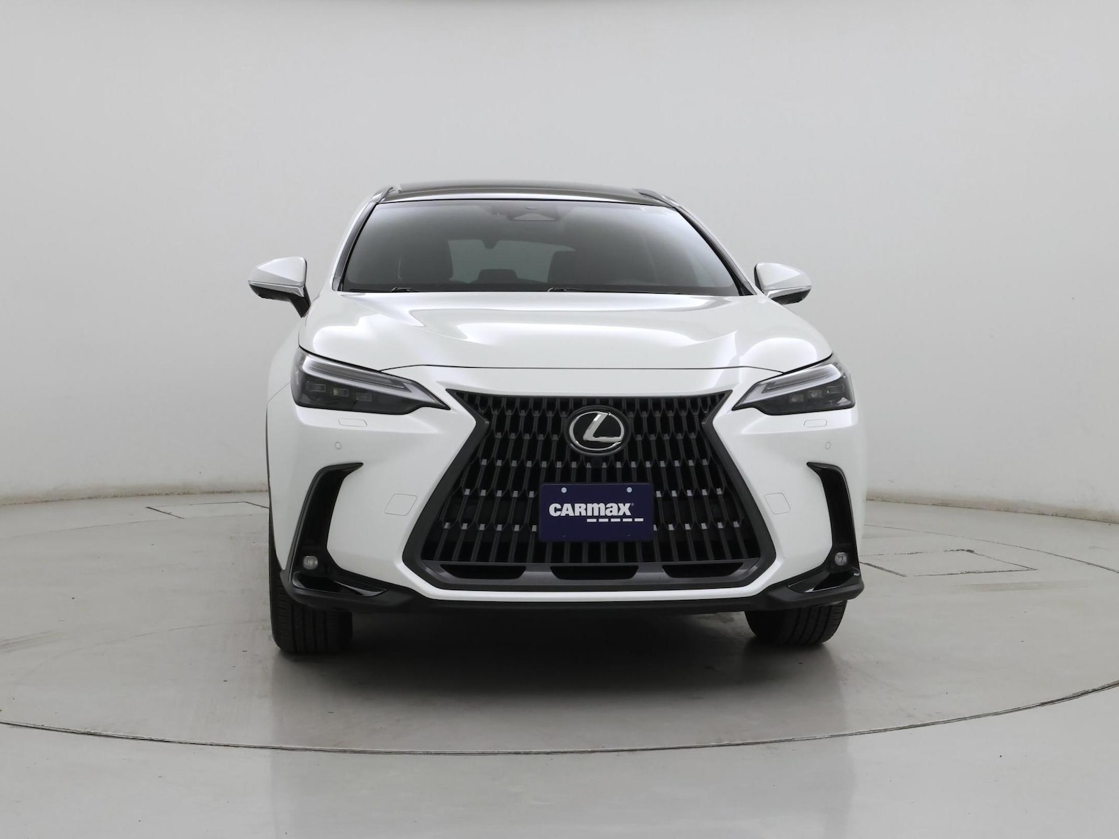 2025 Lexus NX Hybrid 350h - Photo 6