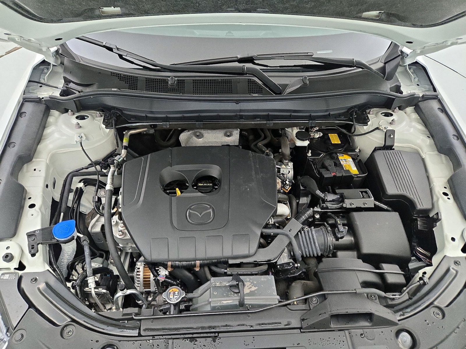 2025 Mazda CX-5 S Premium Plus package - Photo 23