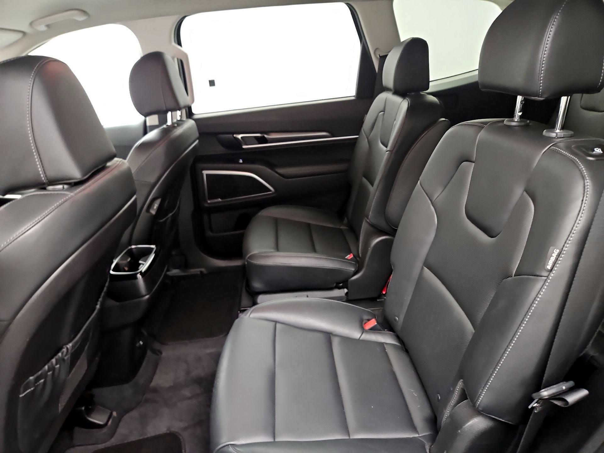 Thumbnail: 2024 Kia Telluride - 19