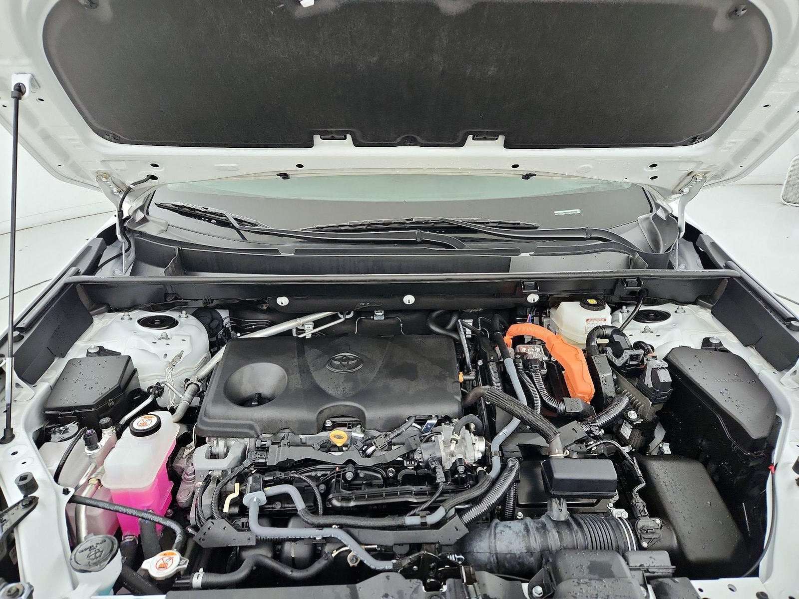 2024 Toyota RAV4 LE - Photo 22