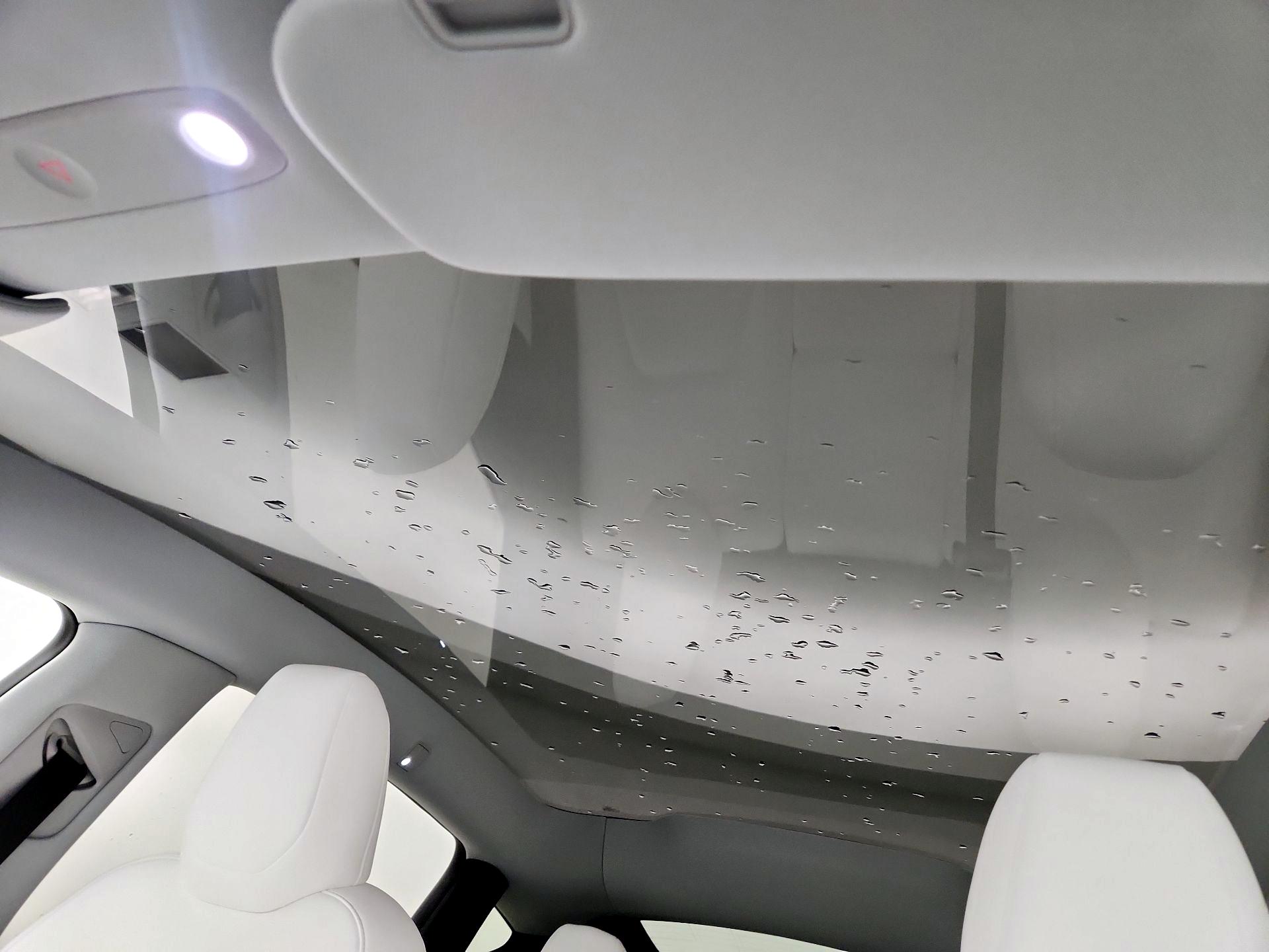 Thumbnail: 2026 Tesla Model Y - 17
