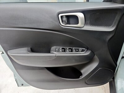 Driver Door Panel